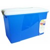 Carry Case Assorted Colours with Clear Lid EA