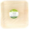 Palm Leaf Square Plate 10inch Disposable CT 100