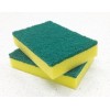 Bastion Scour Sponge Reg Green 100x150x10 CT 100