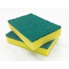 Bastion Scour Sponge Reg Green 100x150x10 CT 100
