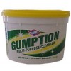 Gumption All Purpose Cleaner 500g (CT 12)
