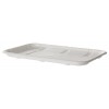 2S Sugarcane Meat and Produce Tray 8.5x6.0x0.5i SL 50