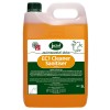 EC 1 Cleaner Sanitiser 5L CT2