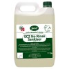 EC 2 No Rinse Sanitiser 5L CT 2