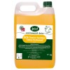 EC 9 Cleaner Sanitiser Citrus 5L CT 2