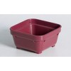 Square Bowl 100mm Burgundy EA