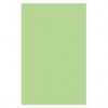 Optix 80gsm A4 Colour Paper Copa Green 129307 EA