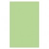 Optix 80gsm A4 Colour Paper Copa Green 129307 EA