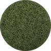 Glomesh reg speed floor pad 400mm Green (EA)