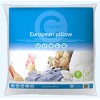 European Pillow 65 x 65cm w Cotton Cover Polyester Fill EA