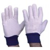 Cotton Drill Glove Mens with Blue Knitted Wrist PR