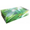 Earthcare Recycled Facial Tissues 2 Ply 100s (CT 48)