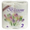 Blossom 2Ply Paper Towels 70s CT 24
