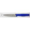 Victorinox Paring Knife 10cm Point Tip Nylon Blue EA