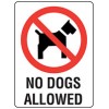 Sign No Dogs Allowed Metal Sign 300 x 225mm EA