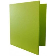 Marbig Binder Summer Colours A4 2D 25mm Lime (EA)