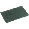 Nylon Scouring Pads No103 Green 23 x 15 (PK 10)