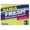 Premium 3Pk Sponges Stn  Each (EA)