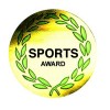 Merit Stickers Sports Award Gold Foil PK 100