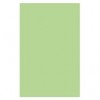 Optix 80gsm A4 Colour Paper Copa Green 129307 CT 5