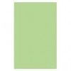 Optix 80gsm A4 Colour Paper Copa Green 129307 CT 5