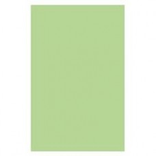 Optix 80gsm A4 Colour Paper Copa Green 129307 CT 5