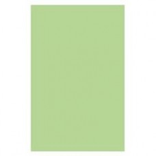 Optix 80gsm A4 Colour Paper Copa Green 129307 CT 5