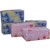 Blossom Facial Tissue 2 ply 180s (CT 32)