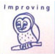 Merit Self Inking Stamp Improving Blue Owl (EA)