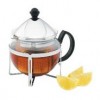 Avanti Tea Infusion Pot 2 Cup (EA)